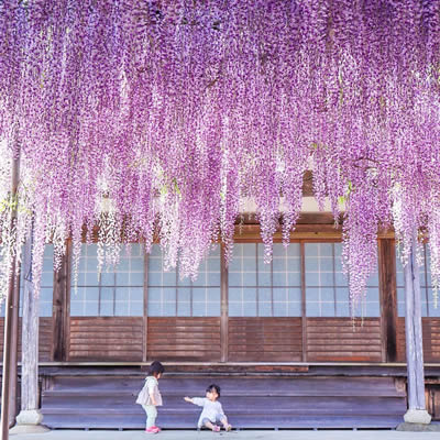 Hosenji Temple