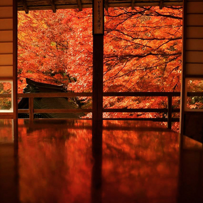 Taiunji Temple