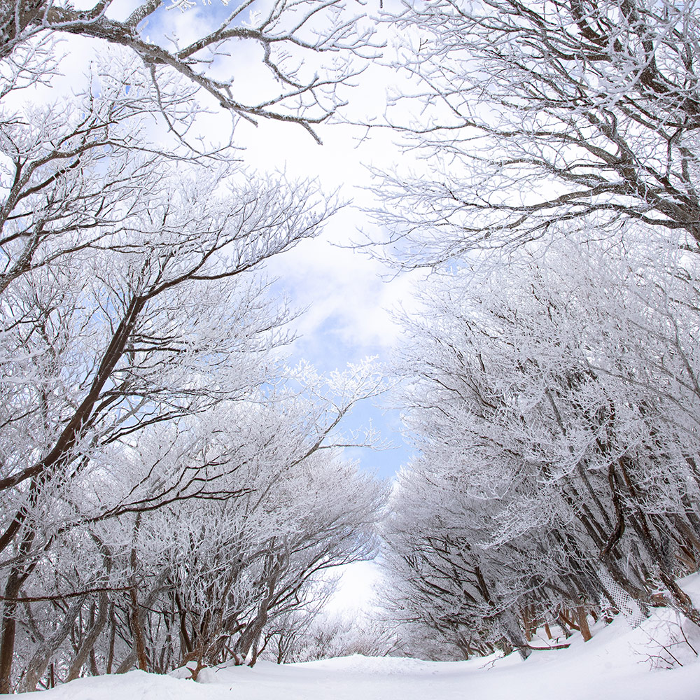 Mount Gozaisho