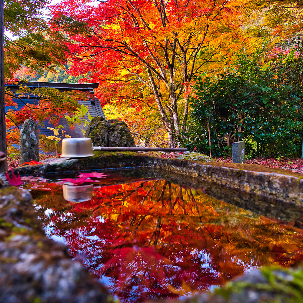 Taiunji Temple, Matsusaka City