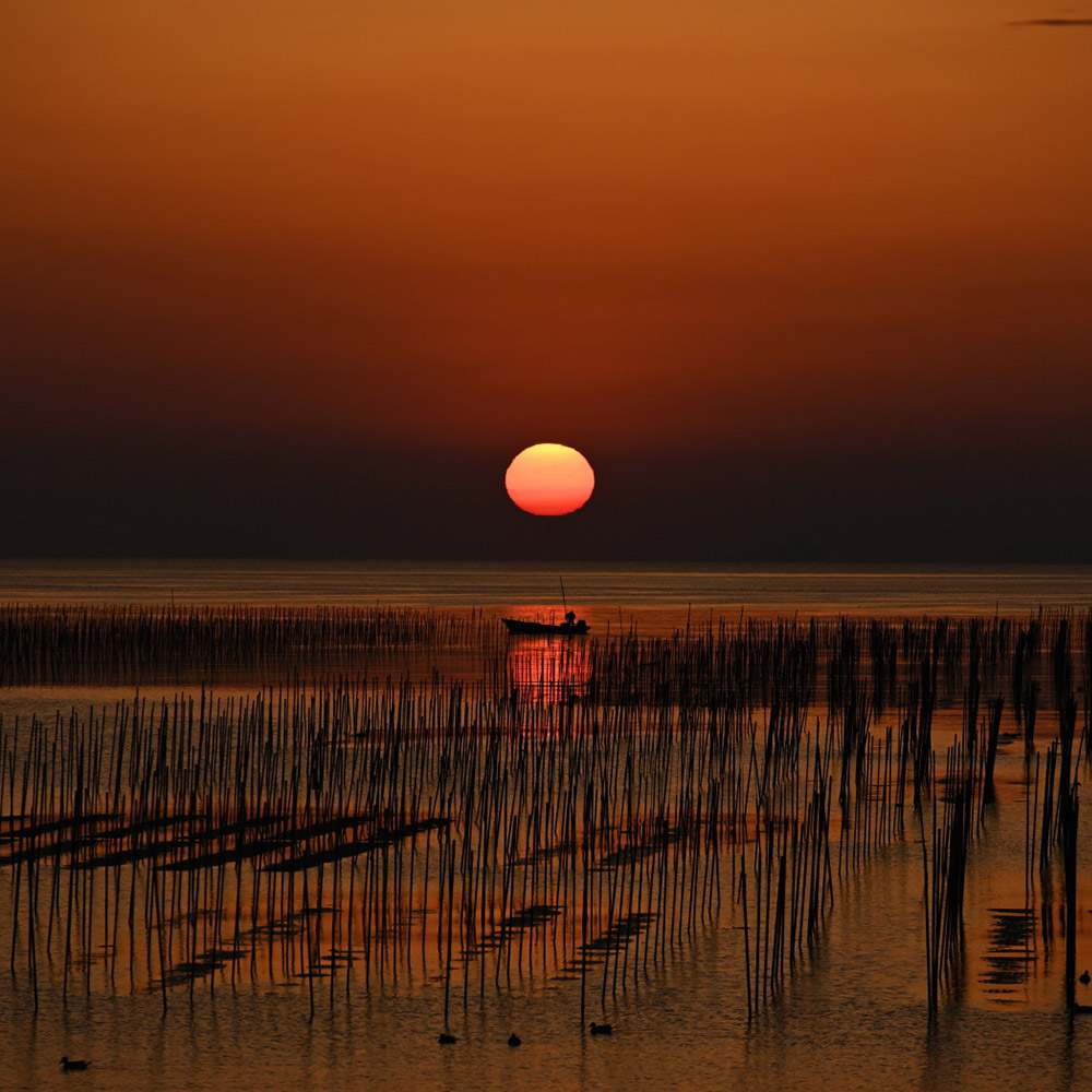 Gonushi Kaigan Beach, Matsusaka City