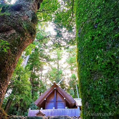 Ise Grand Shrine