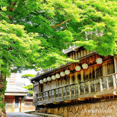 Okage Yokocho (in front of Ise Jingu Naiku) 