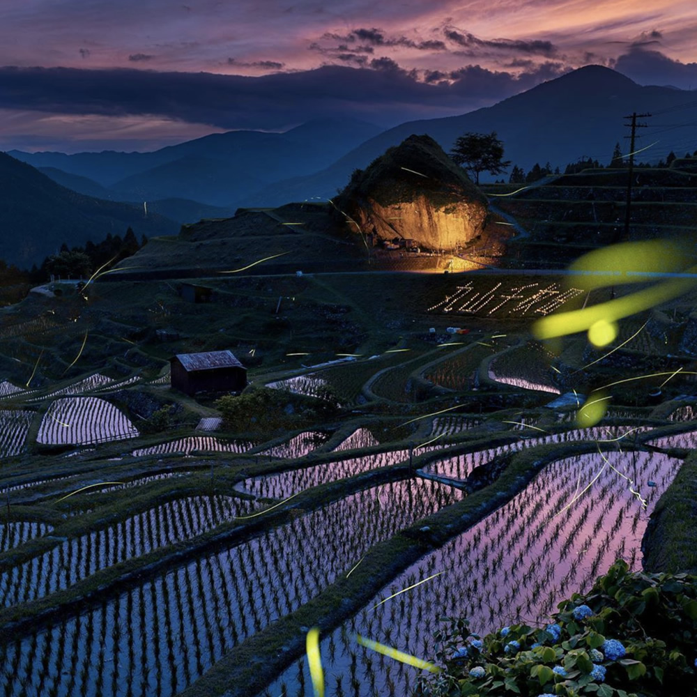 Maruyamasenmaida (Maruyama Terraced Rice Fields)