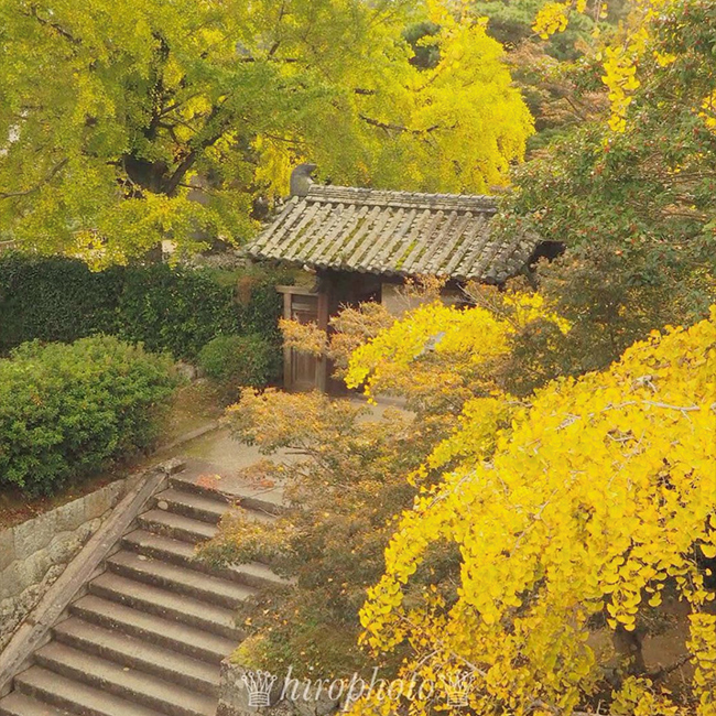 Matsusaka Castle ruins