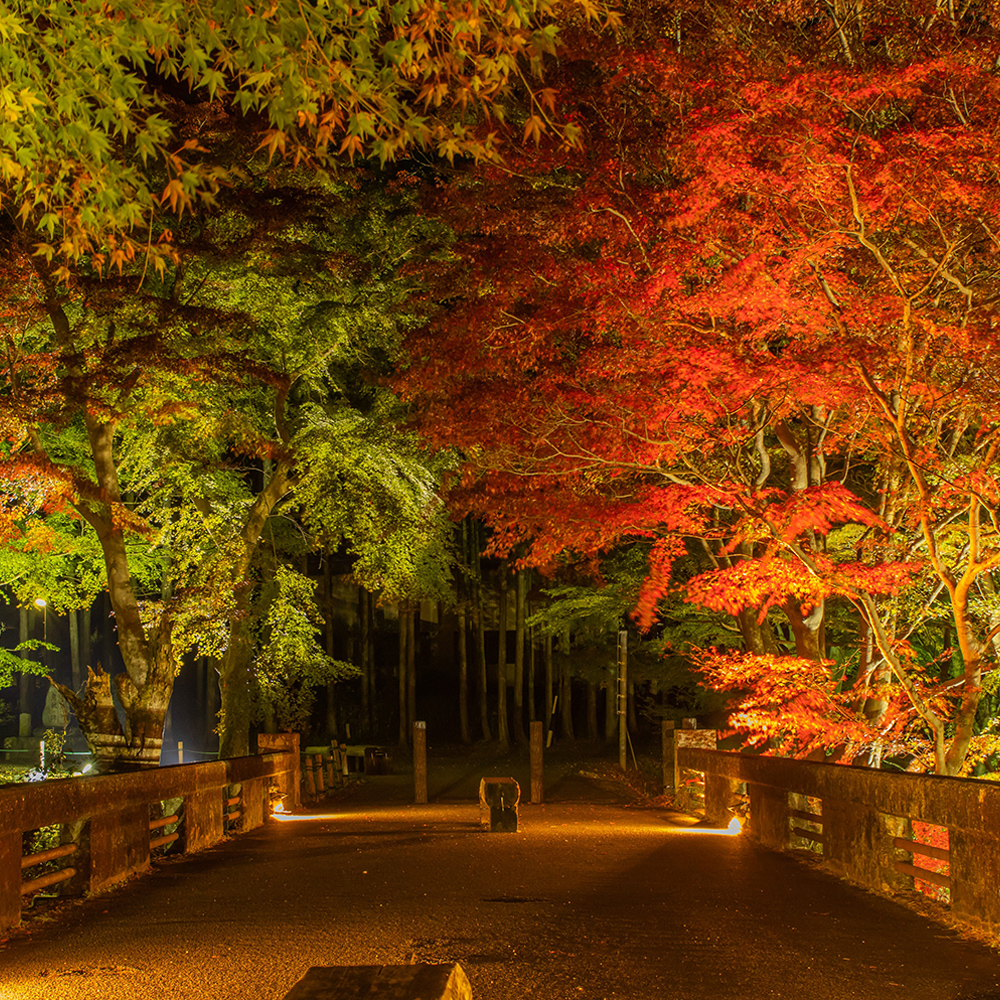 Kochi Keikoku, Tsu City