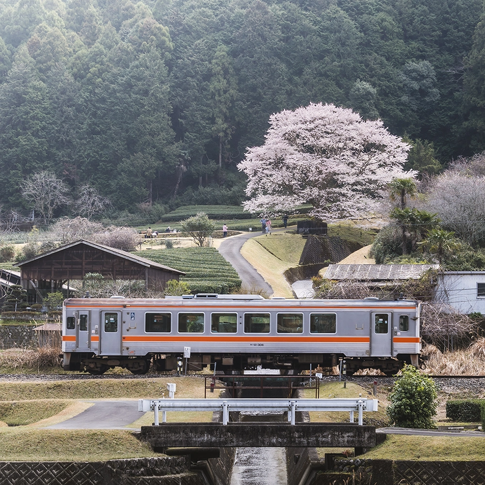 Misugi Village, Takehara, Tsu City