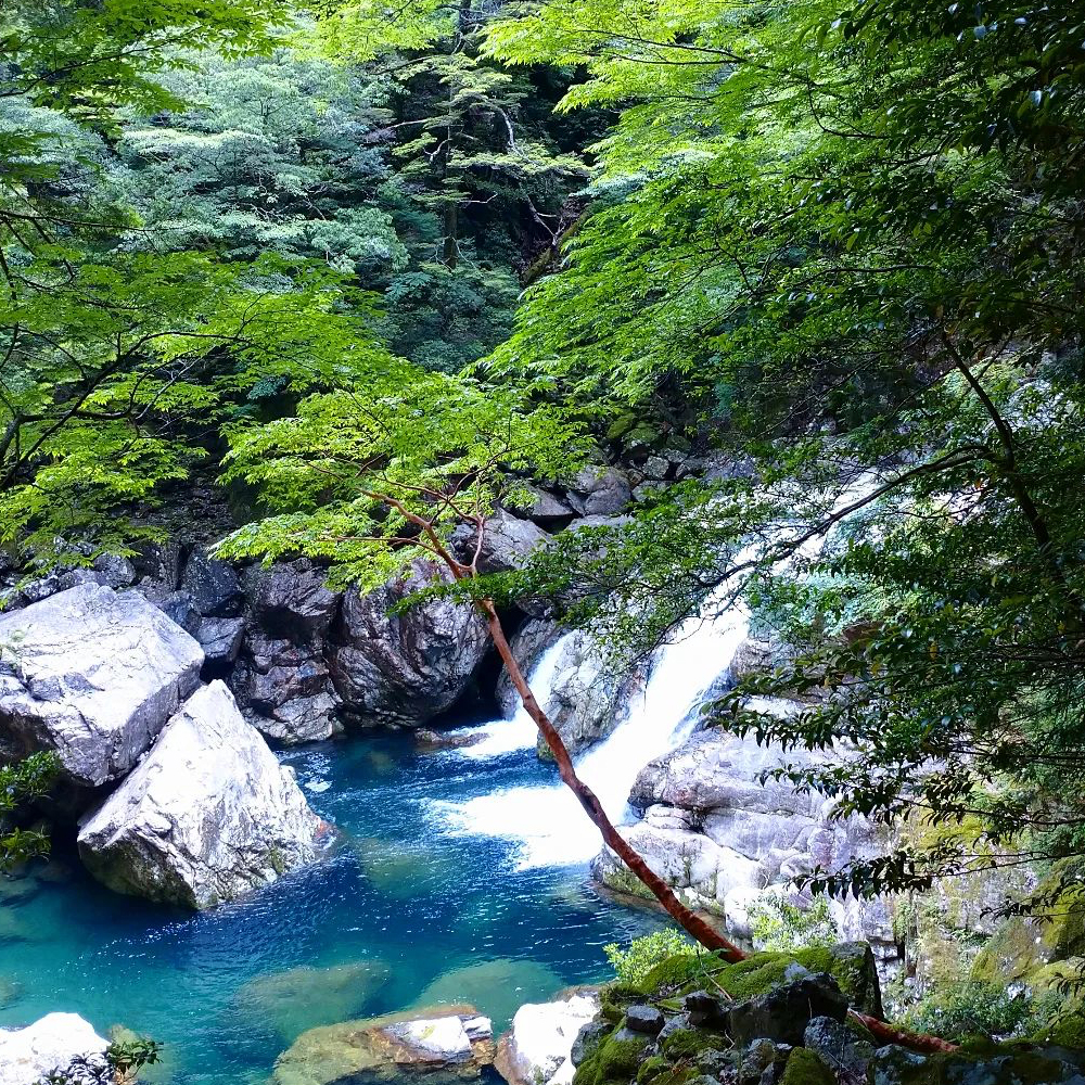 Osugidani Valley, Odai Town