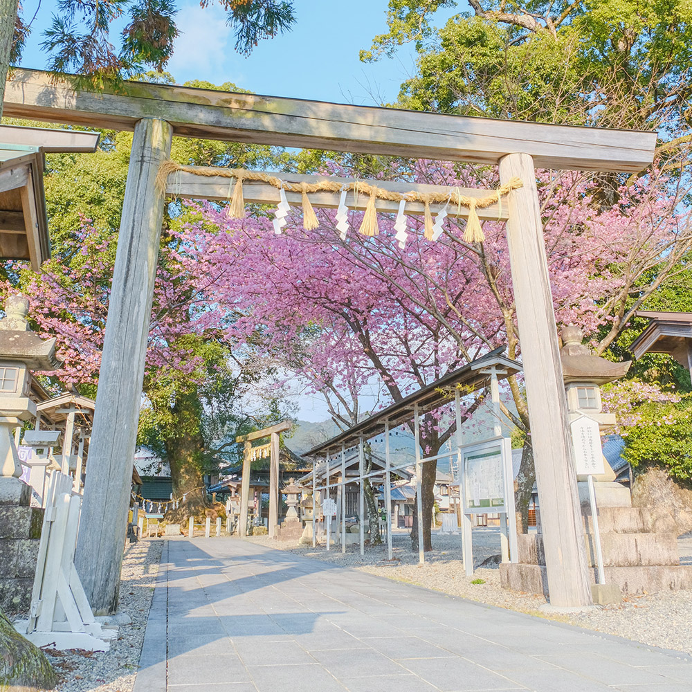 Owase Shrine, Owase City