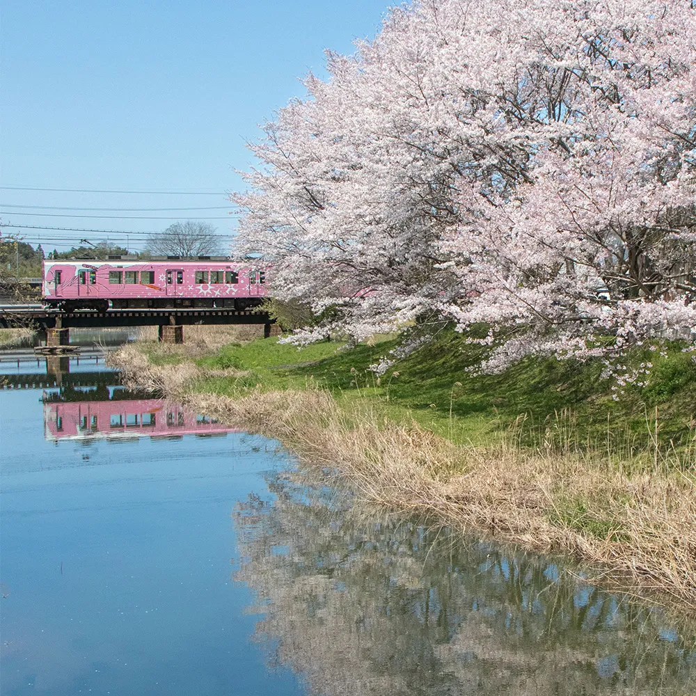 Hijikigawa (Iga City)