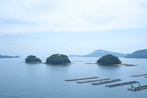 伊勢志摩豐富的自然風光  鳥羽灣