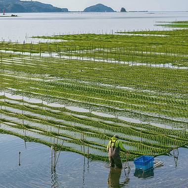 macro_and_japanscape