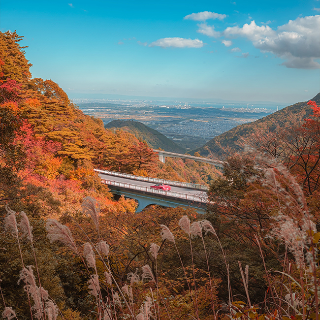 Mount Gozaisho