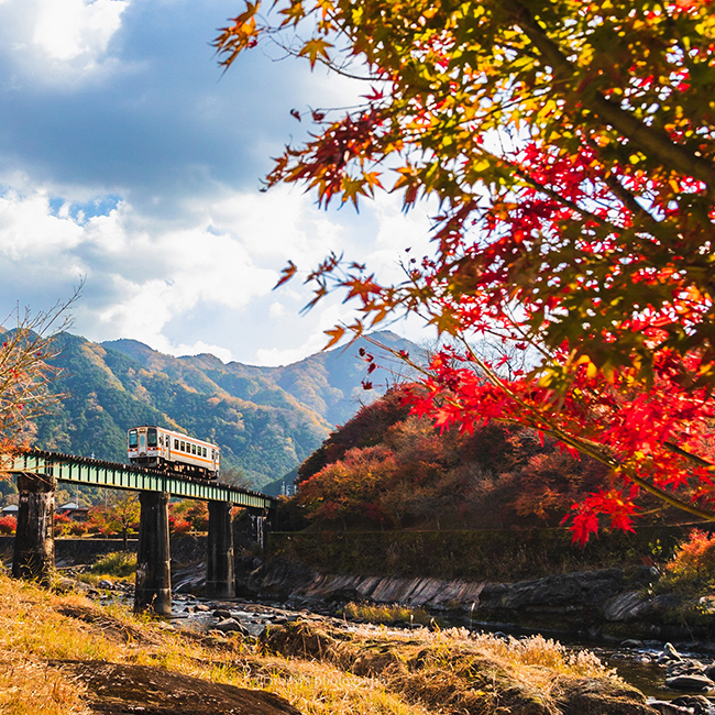 Hakusan Town, Tsu City