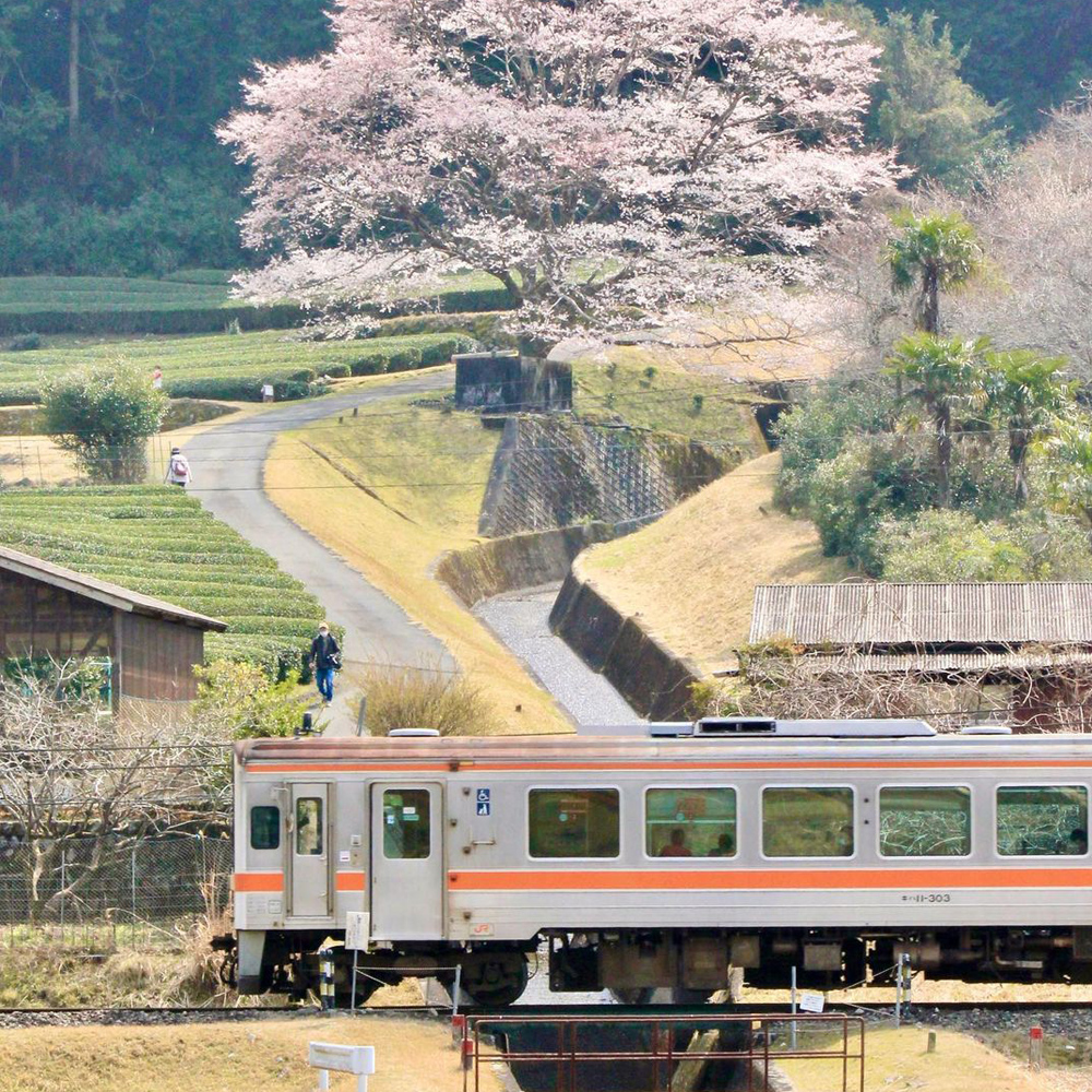 Misugi-cho, Takehara