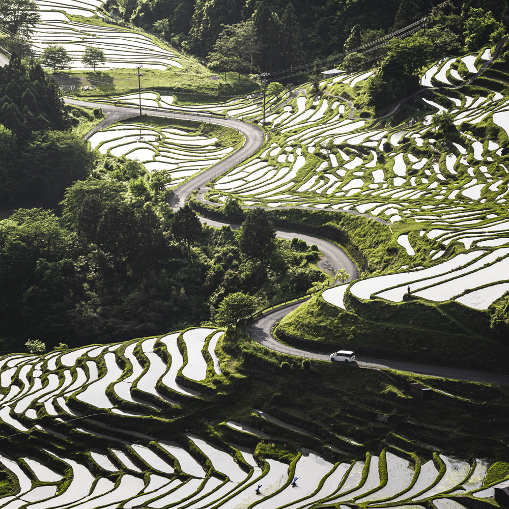 Maruyamasenmaida (Maruyama Terraced Rice Fields)