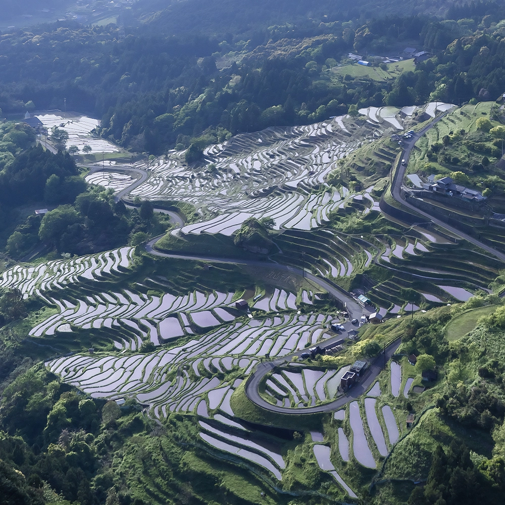 Maruyama Senmaida, Kumano City