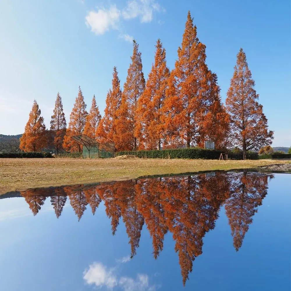 Seseragi Park (Iga City)