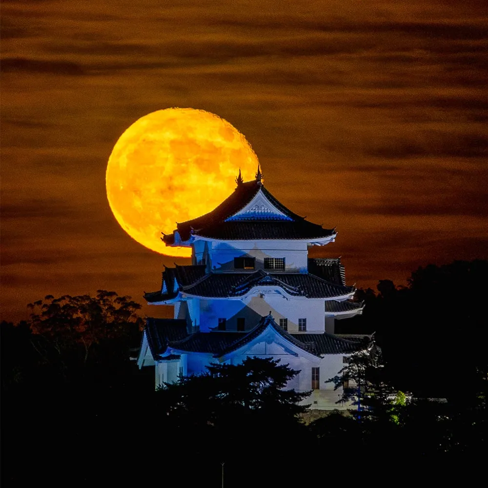 Iga Ueno Castle (Iga City)