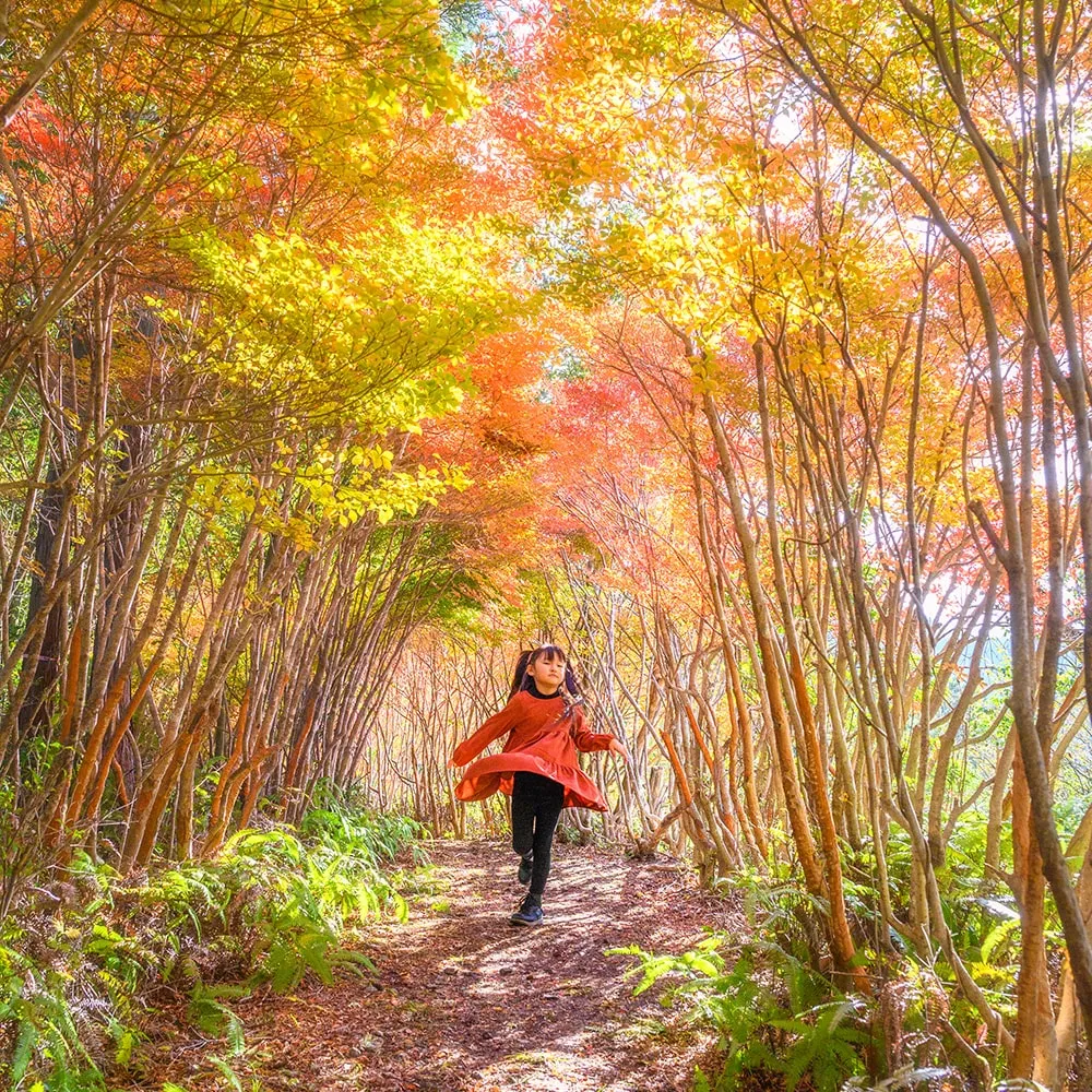 Maruyama Park (Odai Town)