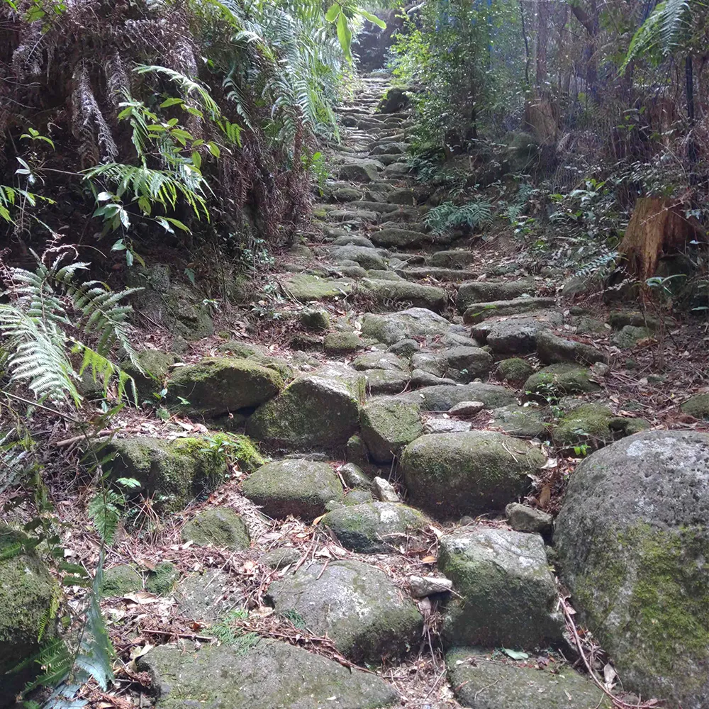 Yakiyama on the Kumano Kodo (Owase City)